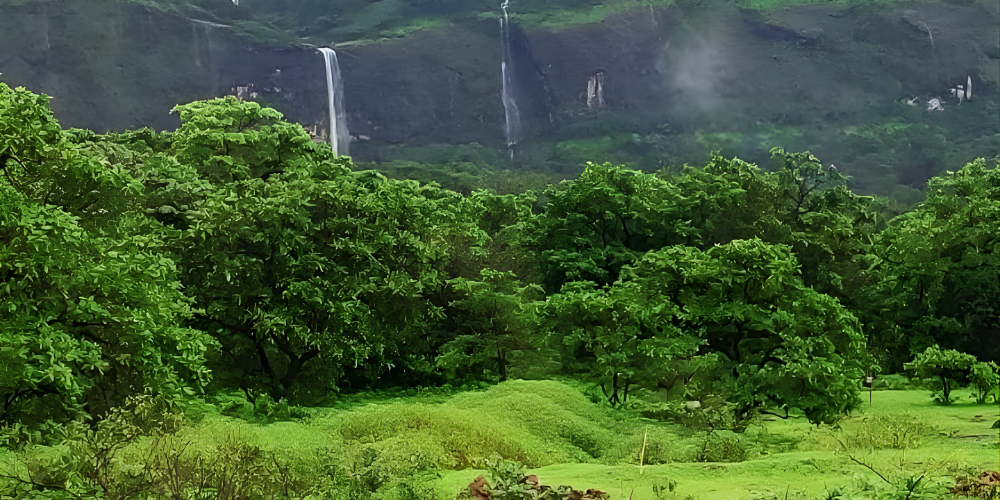 Life at Saras Baug Agro 2